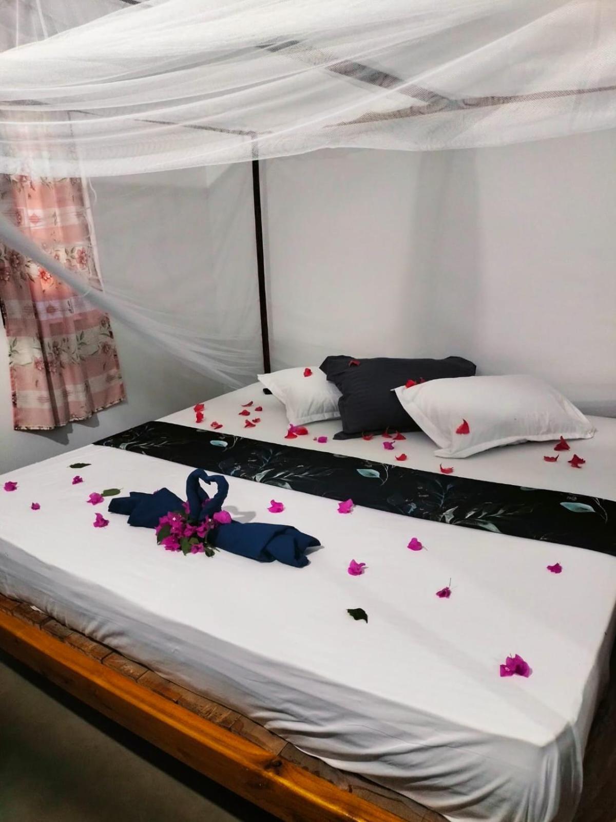 Hostel Costels Arugambay Arugam Bay Pokój zdjęcie