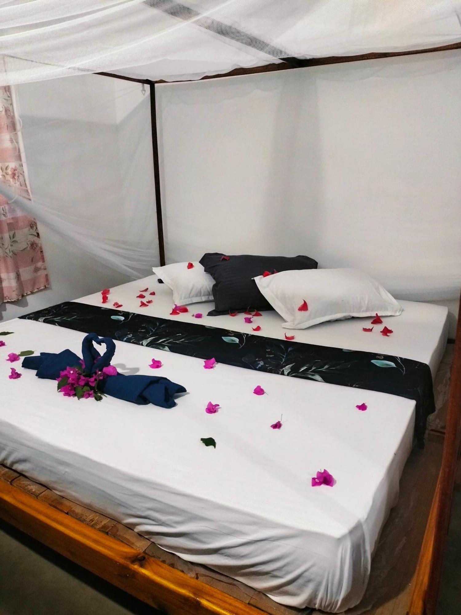 Hostel Costels Arugambay Arugam Bay Zewnętrze zdjęcie